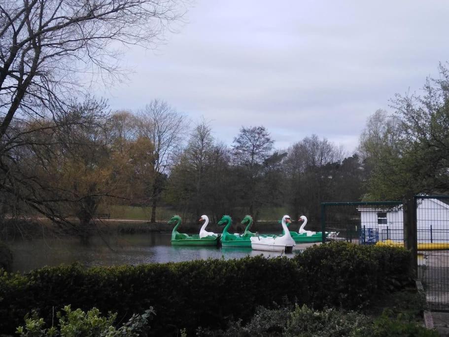 The Cabin Welwyn Garden City Εξωτερικό φωτογραφία
