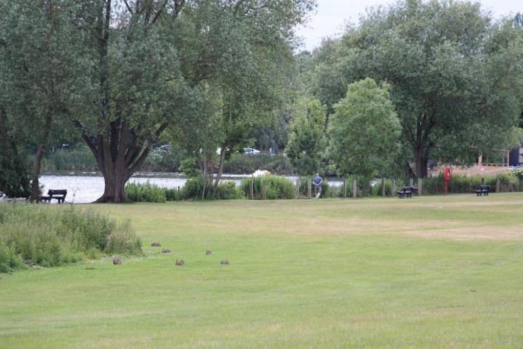 The Cabin Welwyn Garden City Εξωτερικό φωτογραφία